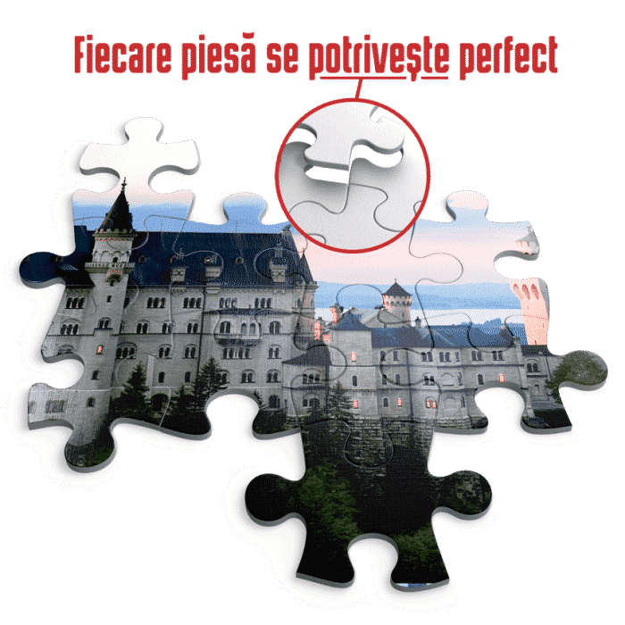 Puzzle adulți 1000 piese Peisaje de Noapte - Neuschwanstein, Germania -35274