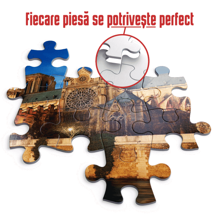 Puzzle adulți 1000 piese Peisaje de Noapte - Notre Dame-35298