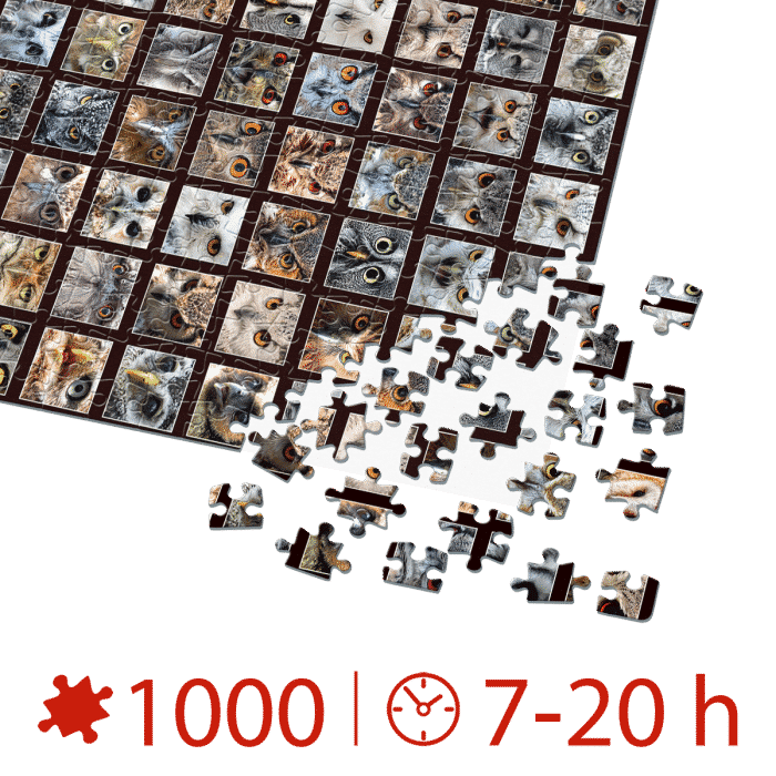 Puzzle adulți 1000 piese - Animal Faces - Owls/Bufnițe-35033