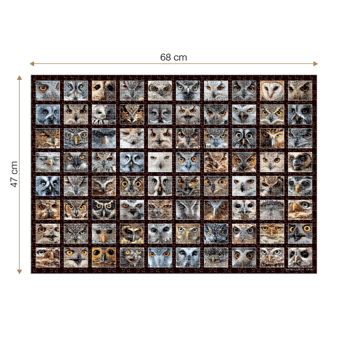 Puzzle adulți 1000 piese - Animal Faces - Owls/Bufnițe-35036